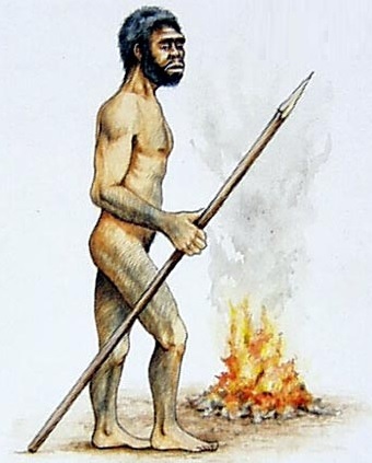 Homo Erectus y el fuego