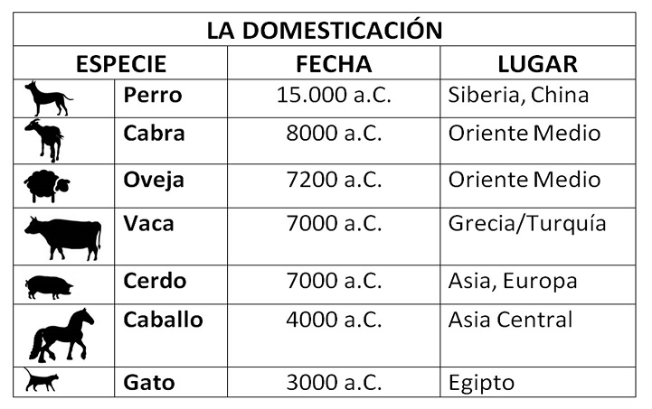 Domesticación de animales