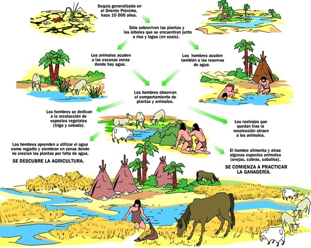 Resultado de imagen de En el neolítico con la aparición de la agricultura y la ganadería, apareció la primera economía