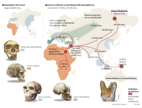 Evolución de la distribución geográfica del Homo