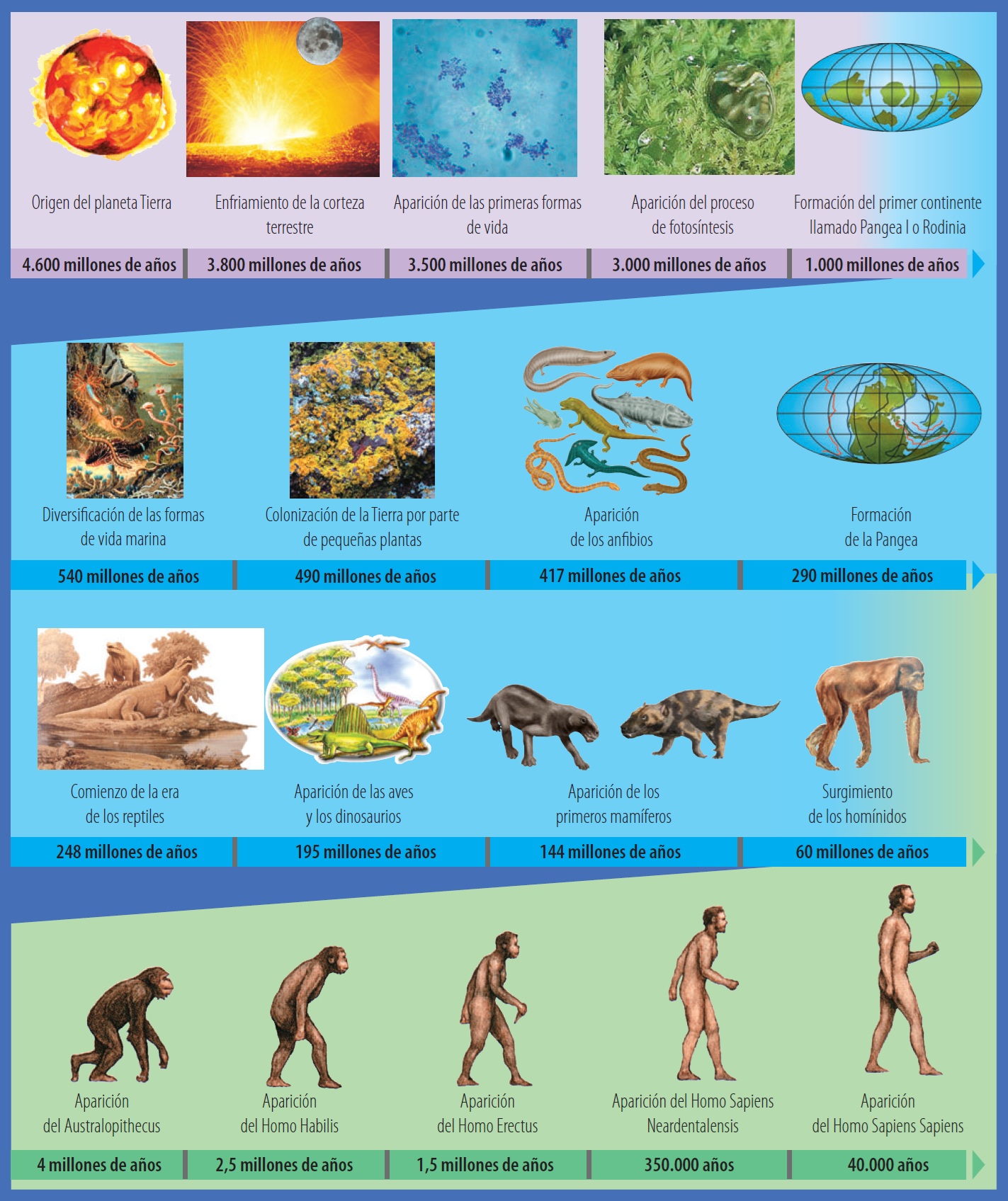 Línea de tiempo: Evolución en el planeta Tierra