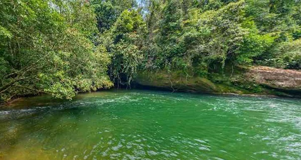 Parque Nacional Natural Alto Fragua Indi Wasi