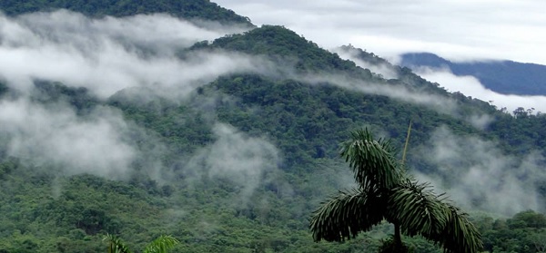 Piedemonte Parque Nacional Natural Alto Fragua Indi Wasi