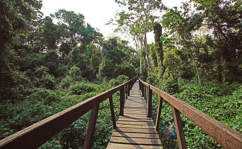 Parque Nacional Natural Amacayacu