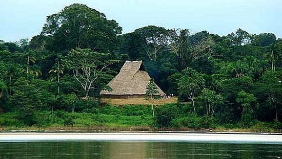 Parque Nacional Natural Cahuinarí 