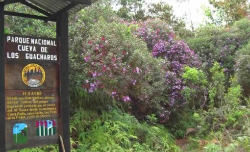 Entrada al Parque Nacional Natural Cueva de los Guácharos.