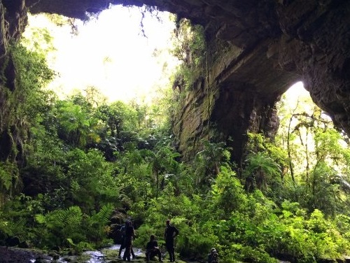 Puente Natural en el Parque Nacional Natural Cueva de los Guácharos.