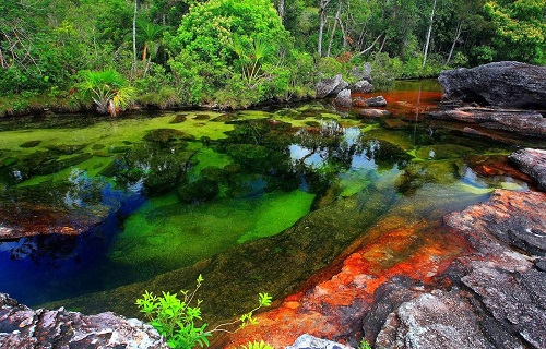 Caño cristales 