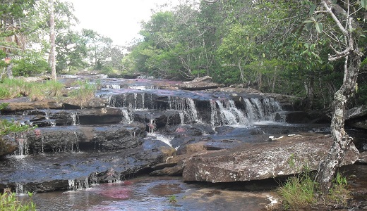 Reserva Nacional Natural Nukak