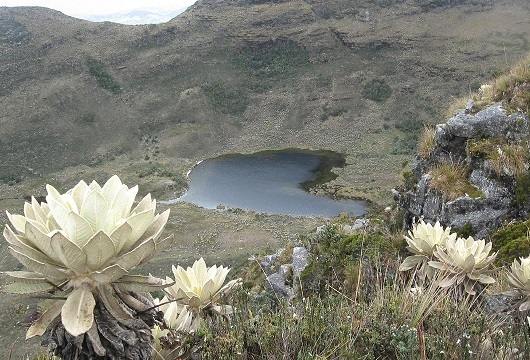 Laguna de Iguaque