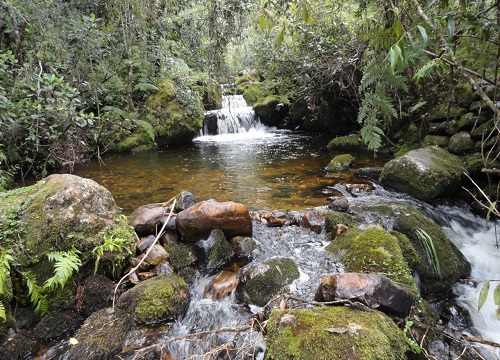 Corrientes de agua que se originan en el parque natural Iguaque