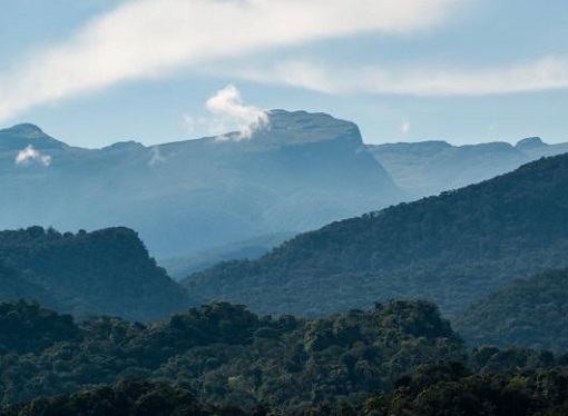 Vista de las selvas de Virolín