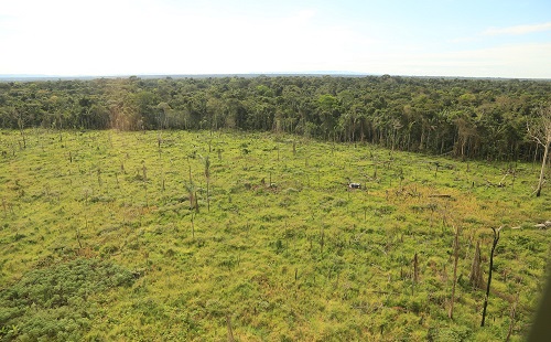 Deforestación en el Parque Natural Tinigua